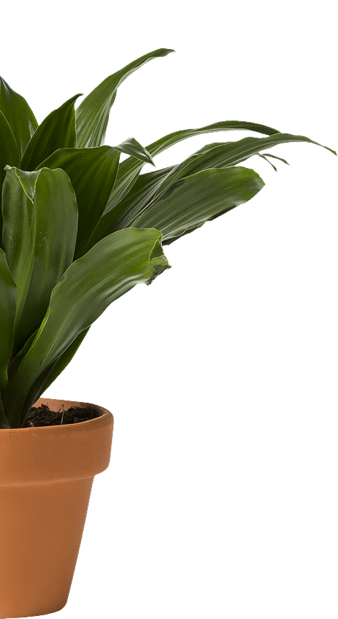 susisiekite su mumis fono nuotrauka